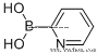 2-Pyridineboronic acid