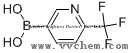 2-Trifluoromethyl-5-pyridineboric acid