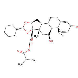 CAS No:126544-47-6;141845-82-1 Ciclesonide