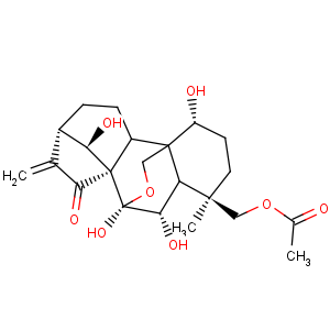 CAS No:10-33-3 (1beta,6beta,7alpha,8alpha,13alpha,14R)-1,6,7,14-tetrahydroxy-15-oxo-7,20-epoxykaur-16-en-18-yl acetate
