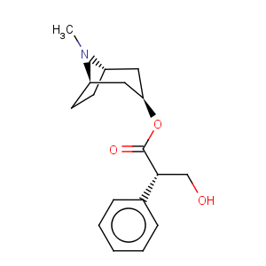 CAS No:101-31-5 L-Hyoscyamine