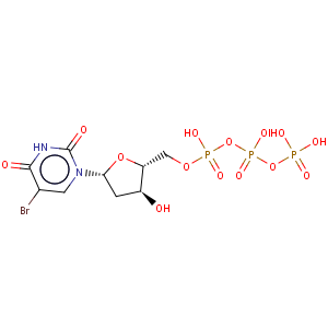 CAS No:102212-99-7 Uridine5'-(tetrahydrogen triphosphate), 5-bromo-2'-deoxy-, tetrasodium salt (9CI)