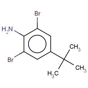 CAS No:10546-67-5 Benzenamine,2,6-dibromo-4-(1,1-dimethylethyl)-