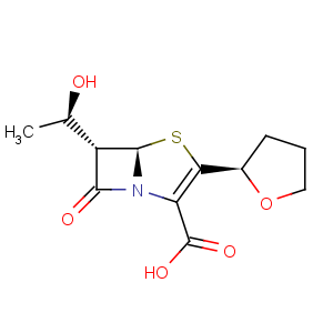 CAS No:106560-14-9 Faropenem sodium hemipentahydrate