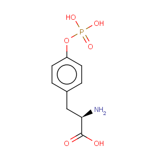 CAS No:108321-25-1 D-Tyrosine,O-phosphono-