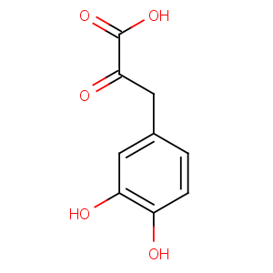 CAS No:109170-71-0 3-(3,4-dihydroxyphenyl)-2-oxopropanoic acid