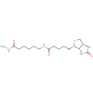 CAS No:109276-34-8 Hexanoic acid,6-[[5-[(3aS,4S,6aR)-hexahydro-2-oxo-1H-thieno[3,4-d]imidazol-4-yl]-1-oxopentyl]amino]-,hydrazide