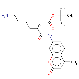 CAS No:116883-12-6 Carbamic acid,N-[(1S)-5-amino-1-[[(4-methyl-2-oxo-2H-1-benzopyran-7-yl)amino]carbonyl]pentyl]-,1,1-dimethylethyl ester