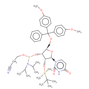 CAS No:118362-03-1 5'-O-(4,4-Dimethoxytrityl)-2'-O-[(tert-butyl)dimethylsilyl]uridine-3'-(2-cyanoethyl-N,N-diisopropyl)phosphoramidite5'-O-DMT-2'-TBDMS-rU-3'-CEDPA5'-O-(4,4-Dimethoxytrityl)-2'-O-[(tert-butyl)dimethylsilyl]uridine-3'-(2-cyanoethyl-N,N-diisopropyl)phosphoramidite5'-O-DMT-2'-TBDMS-rU-3'-CEDPA