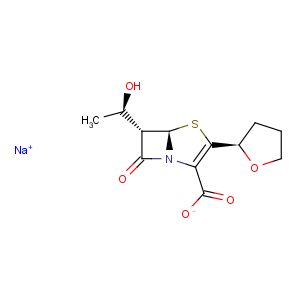 CAS No:122547-49-3 Faropenem sodium