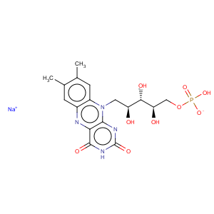 CAS No:130-40-5 Riboflavin-5-phosphate sodium