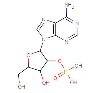 CAS No:130-49-4 2'-Adenylic acid