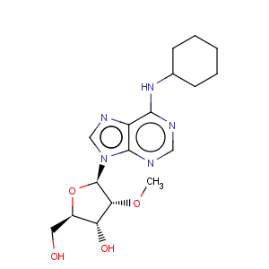 CAS No:130714-47-5 Adenosine,N-cyclohexyl-2'-O-methyl- (9CI)