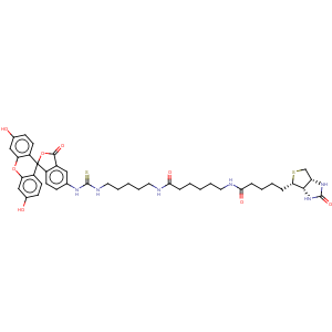 CAS No:134759-22-1 1H-Thieno[3,4-d]imidazole-4-pentanamide,N-[6-[[5-[[[(3',6'-dihydroxy-3-oxospiro[isobenzofuran-1(3H),9'-[9H]xanthen]-5-yl)amino]thioxomethyl]amino]pentyl]amino]-6-oxohexyl]hexahydro-2-oxo-,(3aS,4S,6aR)-