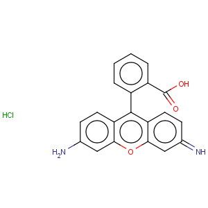 CAS No:13558-31-1 Rhodamine 110 chloride