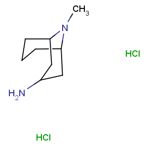 CAS No:135906-03-5 9-methyl-9-azabicyclo[3.3.1]nonan-3-amine