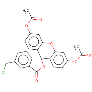 CAS No:136832-63-8 5-Chloromethylfluorescein