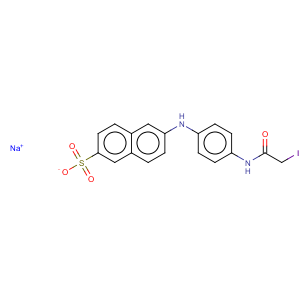 CAS No:143756-46-1 2-Naphthalenesulfonicacid, 6-[[4-[(2-iodoacetyl)amino]phenyl]amino]-, sodium salt (1:1)