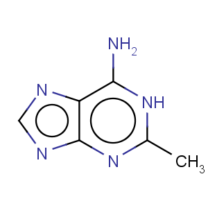 CAS No:1445-08-5 9H-Purin-6-amine,2-methyl-