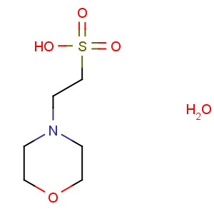 CAS No:145224-94-8 2-morpholin-4-ylethanesulfonic acid