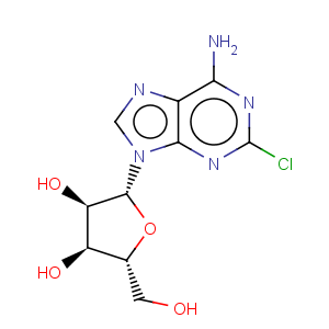 CAS No:146-77-0 2-Chloroadenosine