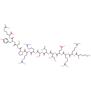 CAS No:149155-45-3 L-Arginine,L-lysyl-L-arginyl-L-arginyl-L-a-glutamyl-L-isoleucyl-L-leucyl-L-seryl-L-arginyl-L-arginyl-L-prolyl-L-seryl-L-tyrosyl-