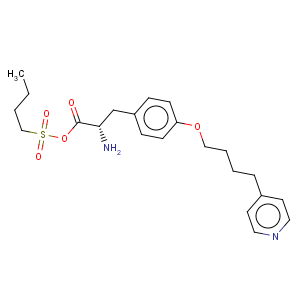 CAS No:149490-61-9 N-Butylsulfonyl-O-(4-(4-pyridinyl)butyl)-L-tyrosineN-Butylsulfonyl-O-(4-(4-pyridinyl)butyl)-L-tyrosineN-Butylsulfonyl-O-(4-(4-pyridinyl)butyl)-L-tyrosineN-Butylsulfonyl-O-(4-(4-pyridinyl)butyl)-L-tyrosineN-Butylsulfonyl-O-(4-(4-pyridinyl)butyl)-L-tyrosineN-Butylsulfonyl-O-(4-(4-pyridinyl)butyl)-L-tyrosineN-Butylsulfonyl-O-(4-(4-pyridinyl)butyl)-L-tyrosineN-Butylsulfonyl-O-(4-(4-pyridinyl)butyl)-L-tyrosine