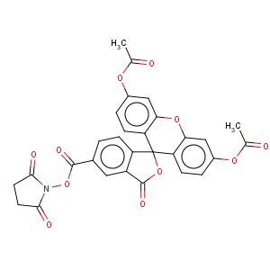 CAS No:150347-59-4 5-Carboxyfluorescein diacetate N-succinimidyl ester
