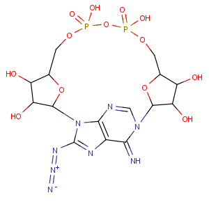 CAS No:150424-94-5 Adenosine5'-(trihydrogen diphosphate), 8-azido-1-b-D-ribofuranosyl-, intramol. P',5''-ester (9CI)