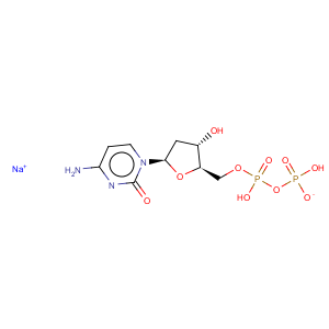 CAS No:151151-32-5 2'-Deoxycytidine-5'-diphosphate trisodium salt