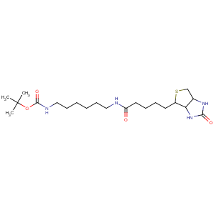 CAS No:153162-70-0 tert-butyl<br />N-[6-[5-[(3aS,4S,6aR)-2-oxo-1,3,3a,4,6,6a-hexahydrothieno[3,<br />4-d]imidazol-4-yl]pentanoylamino]hexyl]carbamate