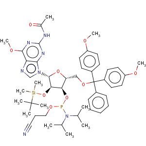 CAS No:153248-58-9 N-Acetyl-5'-O-(4,4-dimethoxytrityl)-2'-O-[(tert-butyl)dimethylsilyl]-6'-O-methylguanosine-3'-(2-cyanoethyl-N,N-diisopropyl)phosphoramidite