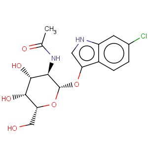 CAS No:156117-44-1 6-Chloro-3-indolyl-N-acetyl-beta-D-glucosaminide
