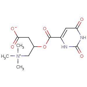 CAS No:160468-17-7 3-(2,<br />4-dioxo-1H-pyrimidine-6-carbonyl)oxy-4-(trimethylazaniumyl)butanoate