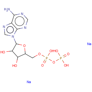 CAS No:16178-48-6 Adenosine-5'-diphosphate, disodium salt hydrate