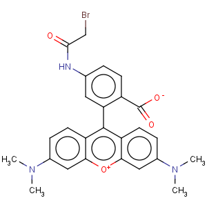 CAS No:166442-39-3 6-[Bromoacetamido]tetramethylrhodamine