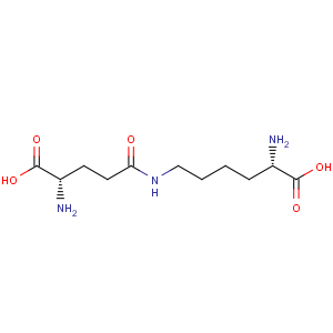 CAS No:17105-15-6 L-Lysine, N6-L-g-glutamyl-