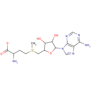 CAS No:17176-17-9 2-amino-4-[[(2S,3S,4R,5R)-5-(6-aminopurin-9-yl)-3,<br />4-dihydroxyoxolan-2-yl]methyl-methylsulfonio]butanoate