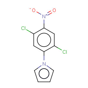 CAS No:175135-54-3 1H-Pyrrole,1-(2,5-dichloro-4-nitrophenyl)-