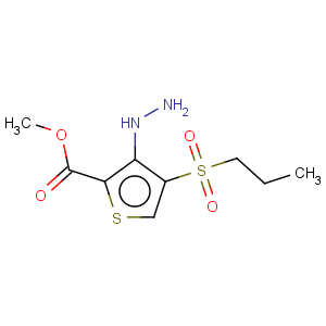 CAS No:175202-01-4 2-Thiophenecarboxylicacid, 3-hydrazinyl-4-(propylsulfonyl)-, methyl ester