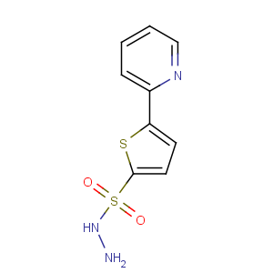 CAS No:175202-74-1 5-pyridin-2-ylthiophene-2-sulfonohydrazide