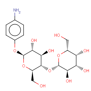 CAS No:17691-02-0 4-Aminophenyl beta-D-lactopyranoside