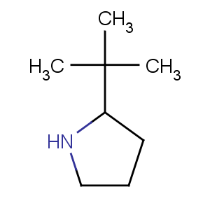 CAS No:180258-82-6 Pyrrolidine,2-(1,1-dimethylethyl)-