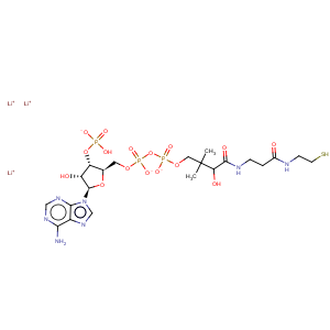 CAS No:18439-24-2 Coenzyme A, lithiumsalt (1:3)