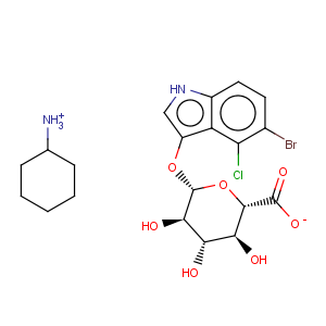 CAS No:18656-96-7 5-Bromo-4-chloro-3-indolyl-beta-D-glucuronide cyclohexylammonium salt