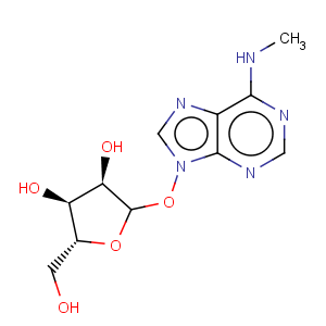 CAS No:1867-73-8 Adenosine, N-methyl-