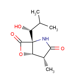 CAS No:186833-31-8 6-Oxa-2-azabicyclo[3.2.0]heptane-3,7-dione,1-[(1S)-1-hydroxy-2-methylpropyl]-4-methyl-, (1R,4R,5S)-