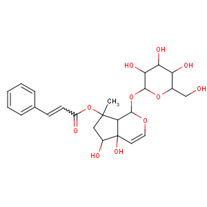 CAS No:19210-12-9 [(1S,4aS,5R,7S,7aS)-4a,5-dihydroxy-7-methyl-1-[(2S,3R,4S,5S,6R)-3,4,<br />5-trihydroxy-6-(hydroxymethyl)oxan-2-yl]oxy-1,5,6,<br />7a-tetrahydrocyclopenta[c]pyran-7-yl] (E)-3-phenylprop-2-enoate