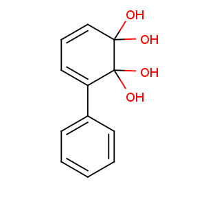 CAS No:19261-03-1 3-phenylcyclohexa-3,5-diene-1,1,2,2-tetrol