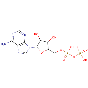 CAS No:20398-34-9 Adenosine 5'-diphosphate sodium salt